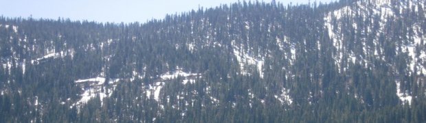Peggys:
Donner:
DSCN1375_1024x768