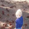 View the image: DSCN1418_1024x768