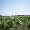 View the image: DSCN1294_800x600
