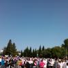 View the image: 2010-05-08 08.49.58