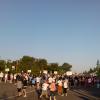 View the image: 2010-05-08 06.54.19