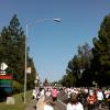 View the image: 2010-05-08 08.21.15