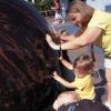 View the image: DSCN0373_800x600