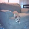 View the image: 2010-04-14 20.17.13
