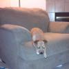 View the image: 2010-04-14 20.17.19