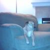 View the image: 2010-04-14 20.21.43
