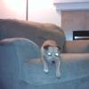 View the image: 2010-04-14 20.21.52