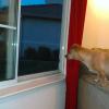 View the image: 2010-04-25 20.06.45