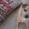 View the image: 2010-06-23 15.01.09