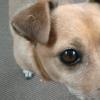 View the image: 2010-06-25 09.29.16
