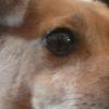View the image: 2010-10-10 09.10.56-1