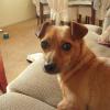 View the image: DSCN1706