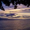 View the image: 100_0083