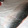 View the image: 6 Pound Salmon