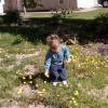 View the image: 2010-05-22 09.40.44