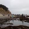 View the image: 2010-07-24 15.07.49