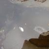 View the image: 2010-07-24 15.08.53