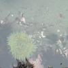 View the image: 2010-07-25 08.24.41