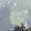 View the image: 2010-07-25 08.26.05