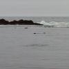 View the image: 2010-07-25 08.26.26
