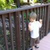 View the image: 2010-07-28 09.54.37