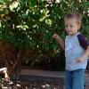 View the image: 2010-09-18 11.33.00