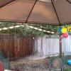 View the image: 2010-09-26 09.49.03