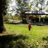 View the image: 2010-08-15 16.00.26