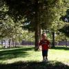 View the image: 2010-08-15 16.00.35