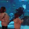 View the image: DSCN2726