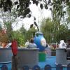 View the image: DSCN2736